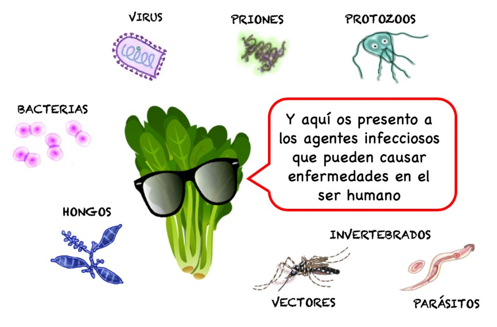 Tipos de agentes infecciosos